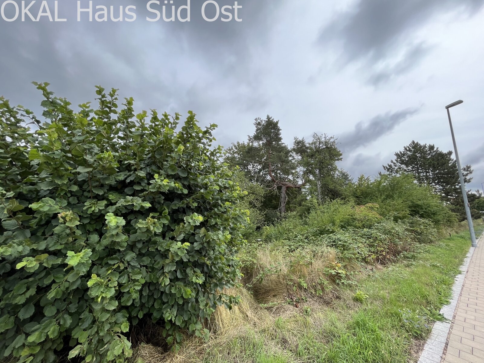 Pfofeld: EIN HAUS, DAS MIT GROSSEM PLATZANGEBOT ÜBERZEUGT Pfofeld: EIN HAUS, DAS MIT GROSSEM PLATZANGEBOT ÜBERZEUGT